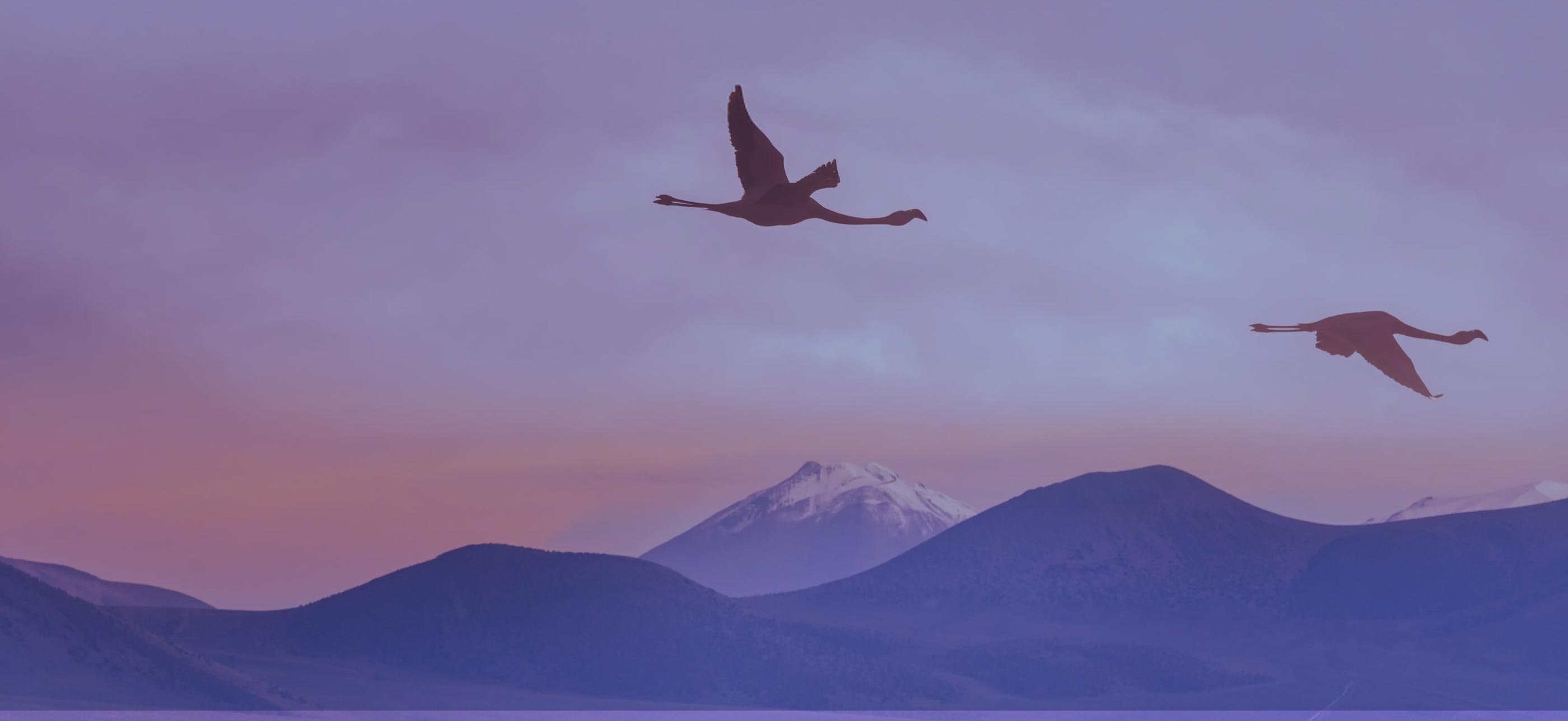 image-fondo-bg