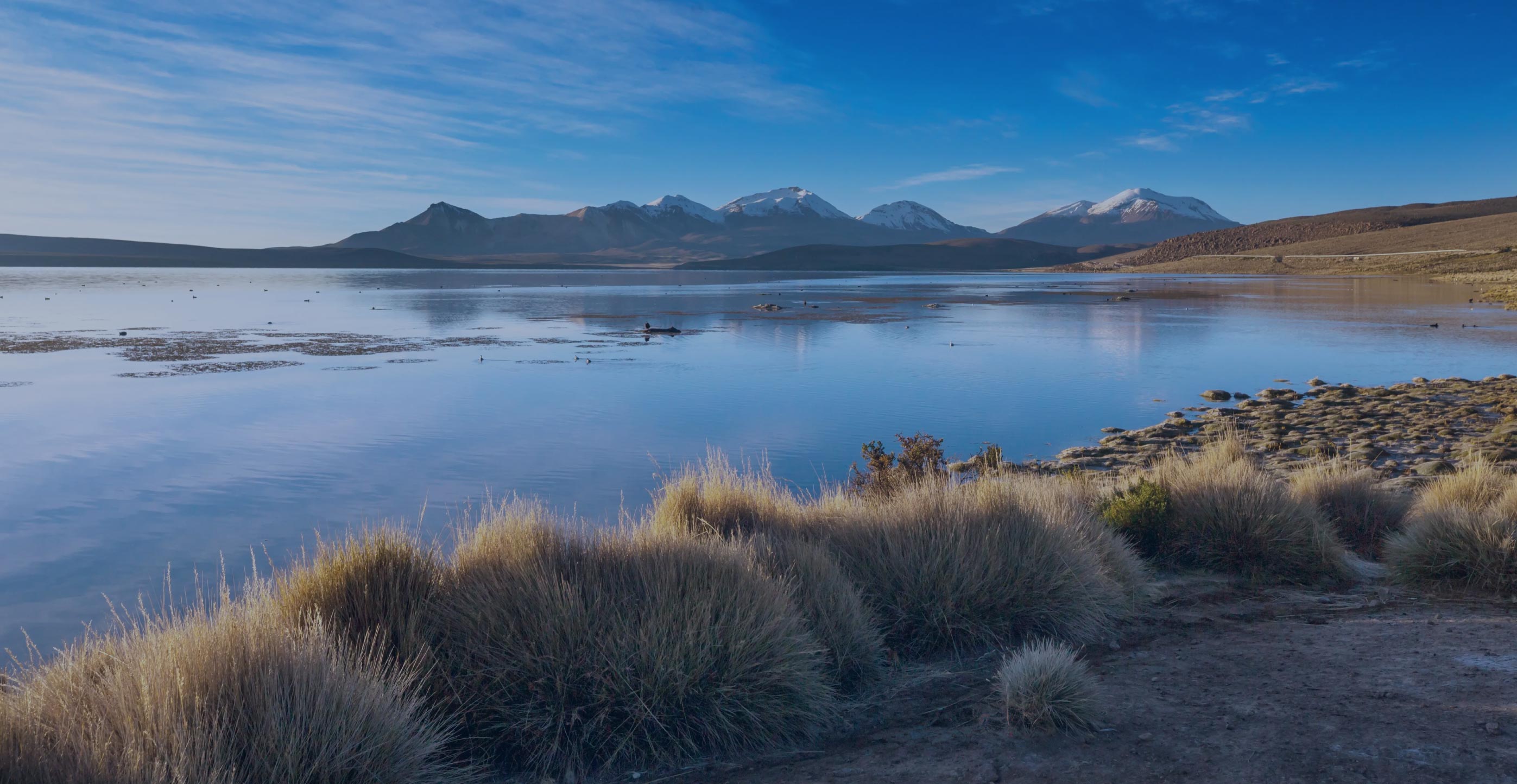 image-fondo-bg